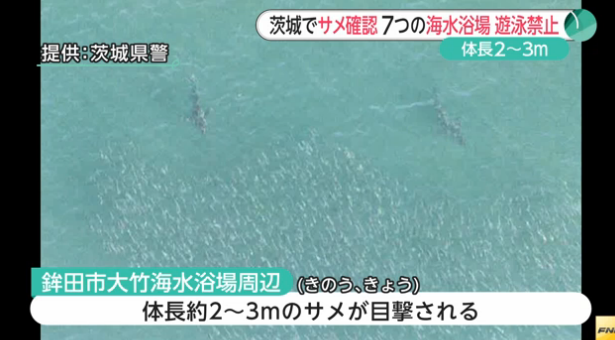 【茨城県】海岸にサメ現れる 海水浴場が遊泳禁止に