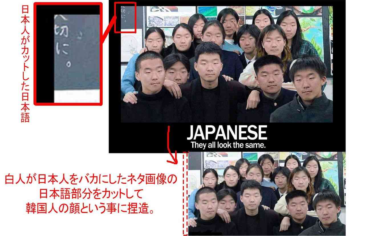ネットをしていなかったら死ぬまで知らなかったと思うこと