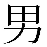 似ている芸能人が男性の人いますか？