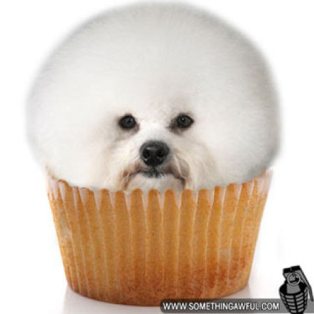 【画像】世界モフモフ選手権！