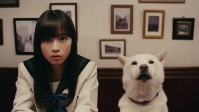 意味がわからないCM