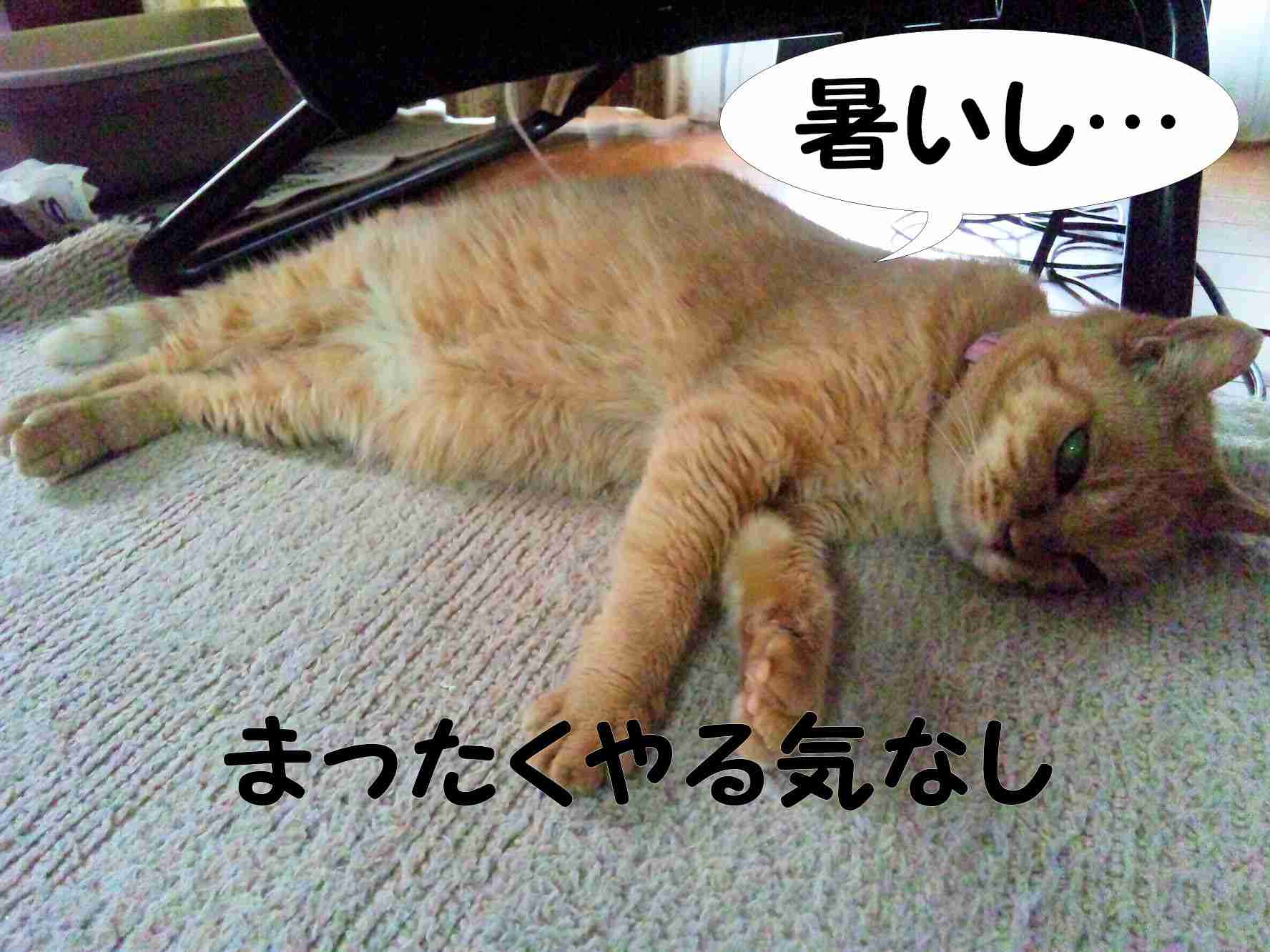 画像で会話するトピック