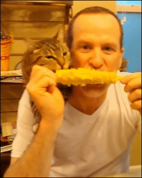 Cat Animated GIF