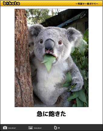 画像で会話するトピック