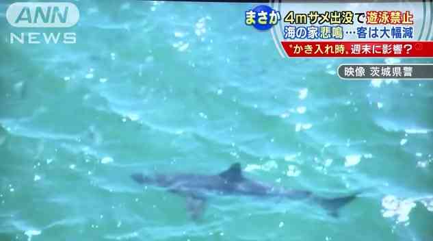 【閲覧注意?】ちょっと怖い生き物が好きな方
