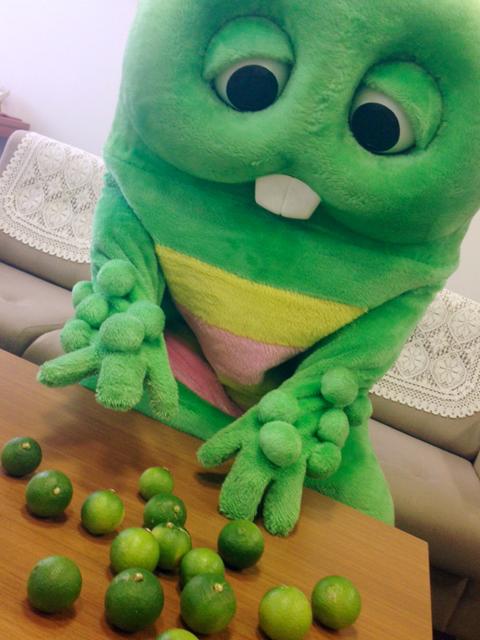 ガチャピンの腕の玉の正体に激震!「ただのイボだと思ってた」
