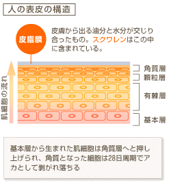 ニキビ肌の化粧品