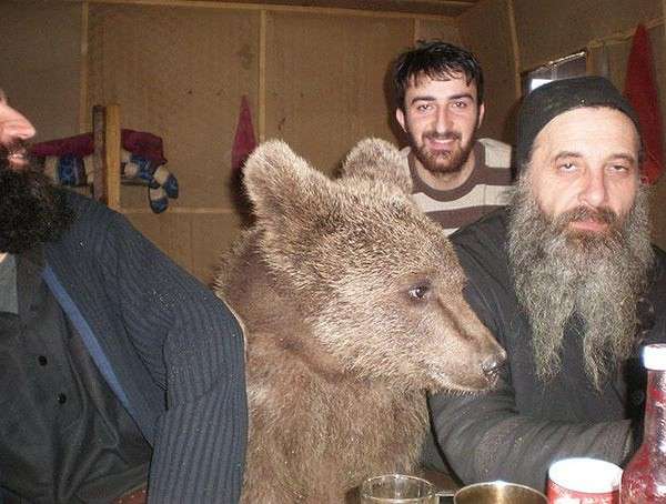 【画像】人間すぎる動物の画像を貼ろう！