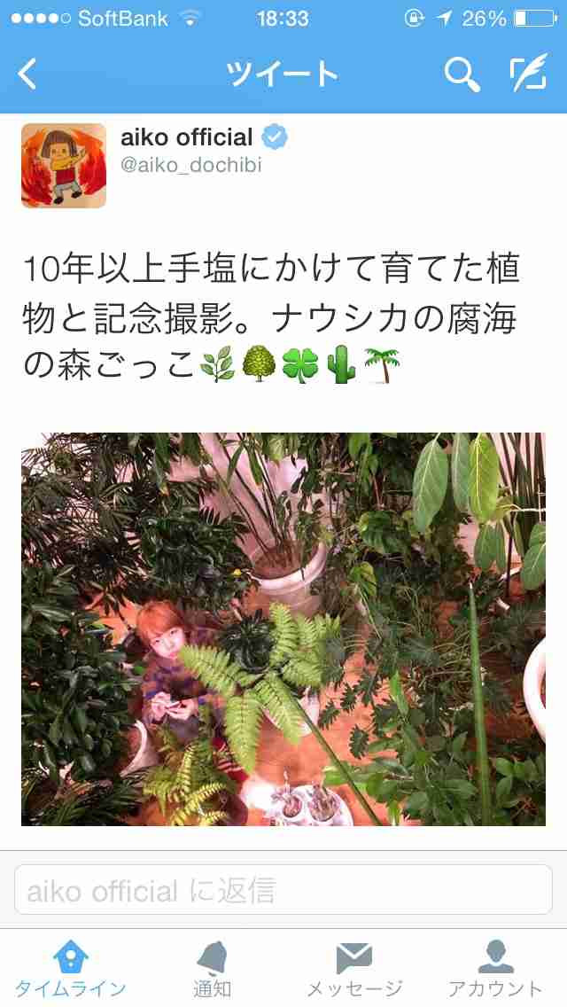 aikoの自宅にキノコ大量発生「最悪や…わしゃ栽培家か!」。