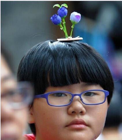 頭から発芽したように見えるヘアアクセサリーが中国・四川省で流行中