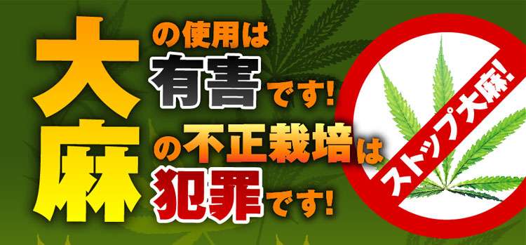 大麻について