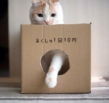 コテハンを有名人にして、ブレないコメントをするトピ