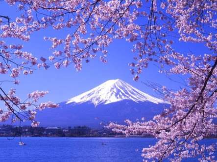 山梨県が好きな人!