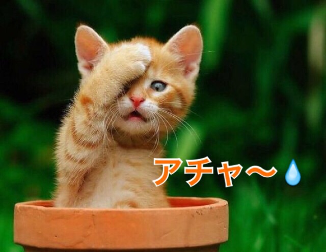 買ってすぐに壊した（壊れた）、盗まれたもの
