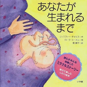 「どうしたら赤ちゃんできるの?」の説明