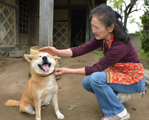 柴犬飼ってる人集まれ！