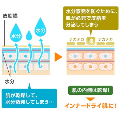 インナードライ肌の方