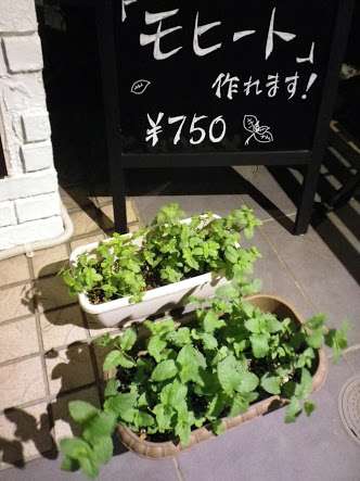 おすすめの家庭菜園！！