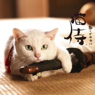 『猫侍』好きな人w