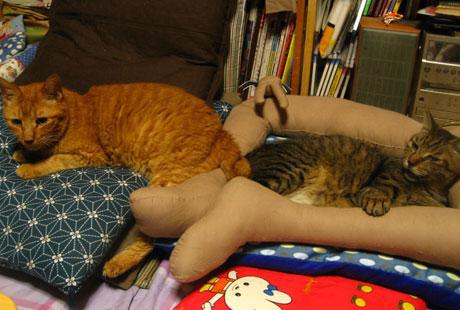 猫が膝から降りてくれない→猫のために作った足型ネコベッドが話題に