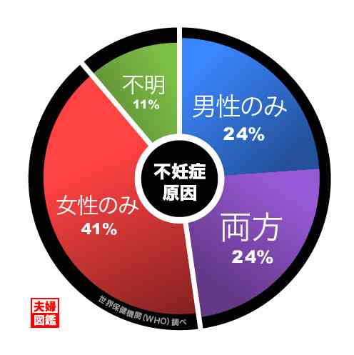 体外受精 治療受けた女性の4割超が40歳以上…妊娠を後回しにしてキャリアを積んだ女性増加