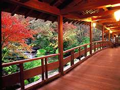 今年の紅葉どこに見に行きたいですか?
