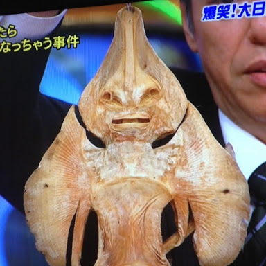 【閲覧注意】…じゃなかった画像