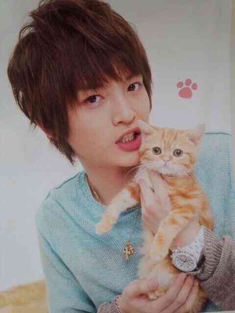 イケメンと猫を貼るトピ