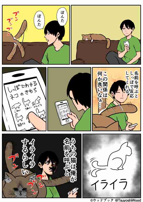 猫のいる生活あるある