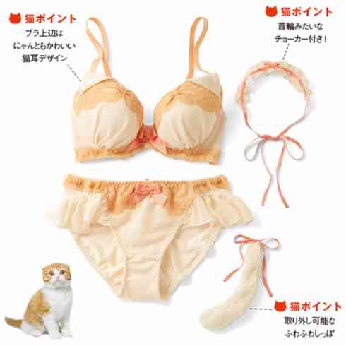 猫に変身できるブラ＆ショーツ、「甘え上手なヒマラヤン」など新作