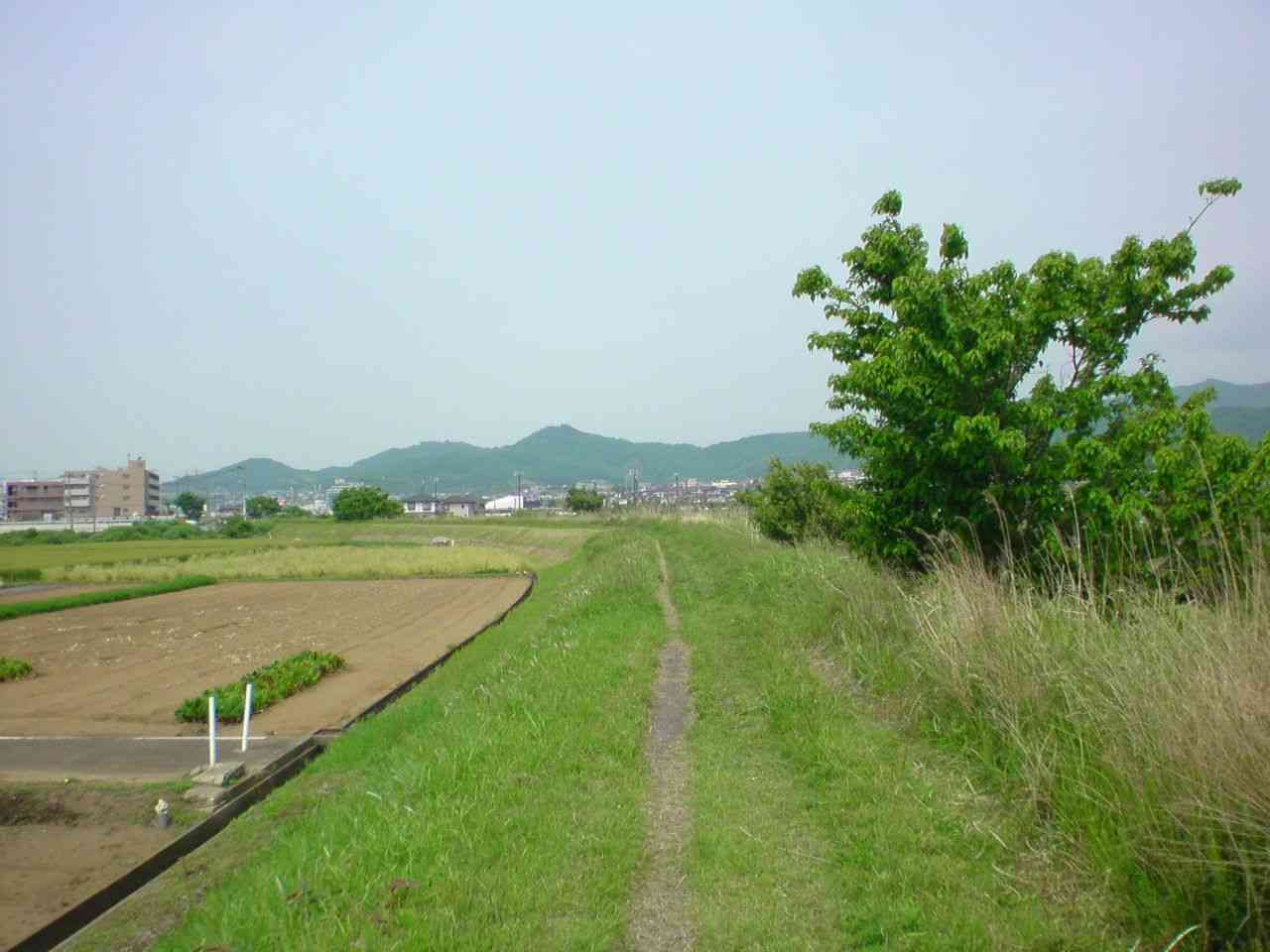 都会住みですか?田舎住みですか?
