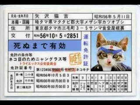 20代後半と30代に捧げる画像詰め合わせ。（改） - YouTube