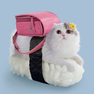寿司好きが集まるトピ