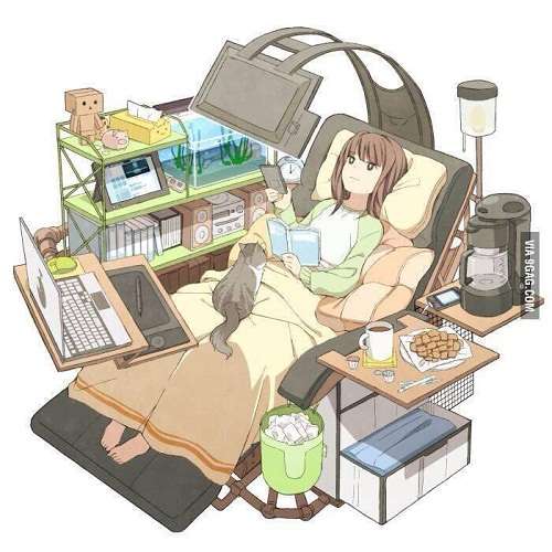 あなたの今後のライフプランは?