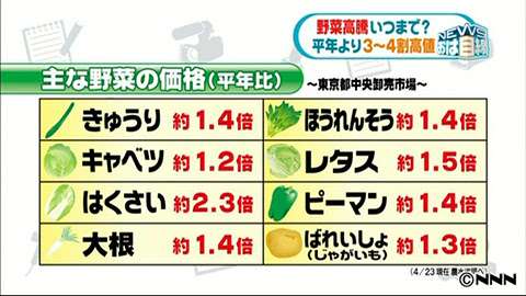 野菜が高い