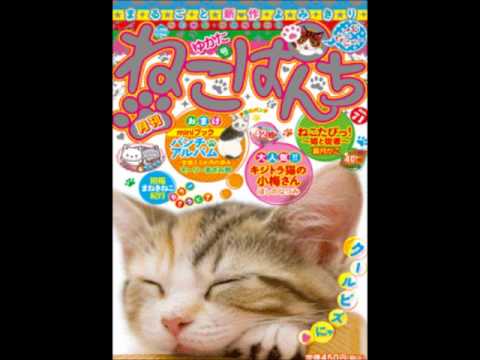 ねこパンチ　Moon Light Flower - YouTube