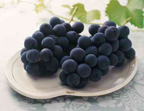 種ありブドウの食べ方教えて