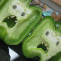 世界で野菜が一種類だけになるとしたら、何がいい？
