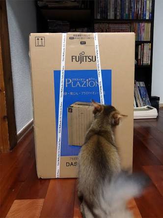 家のニオイ対策してますか?
