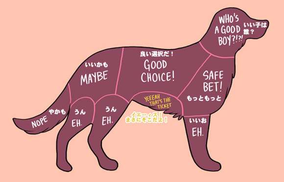 犬のいる生活あるある!!