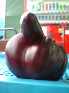 【閲覧注意】…じゃなかった画像