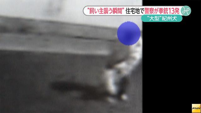飼い主ら襲った犬に発砲　防犯カメラが襲いかかる瞬間とらえる(フジテレビ系（FNN）) - Yahoo!ニュース