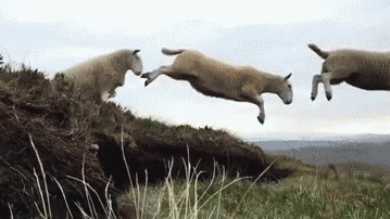                         Imgur: The most awesome images on the Internet
