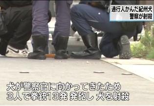 苦情や意見で電話回線パンク　松戸署の大型犬射殺