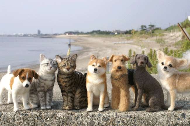 本物と見まごうばかりの画像を貼るトピ