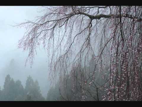 前奏曲　作品２８の１５「雨だれ」　ショパン - YouTube