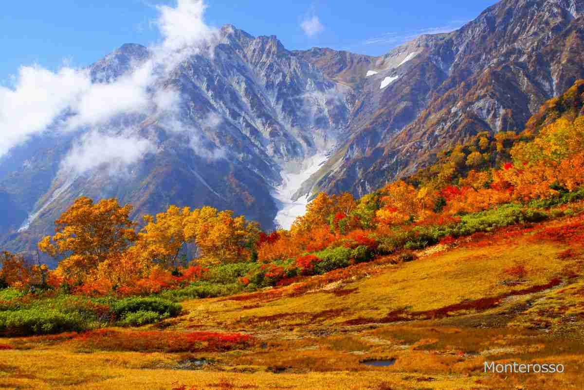 今年の紅葉どこに見に行きたいですか?