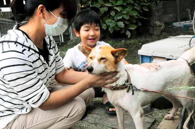 あ、濁流に犬が…発見男性が飛び込み救出　飼い主と再会：朝日新聞デジタル