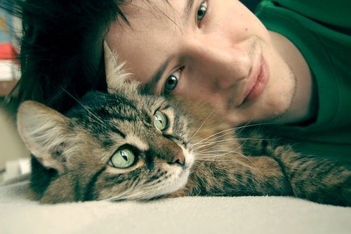 イケメンと猫を貼るトピ