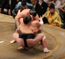 照ノ富士　右膝負傷、靭帯損傷の可能性　出場は検査結果次第 ― スポニチ Sponichi Annex 相撲